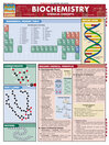 QuickStudy - Biochemistry